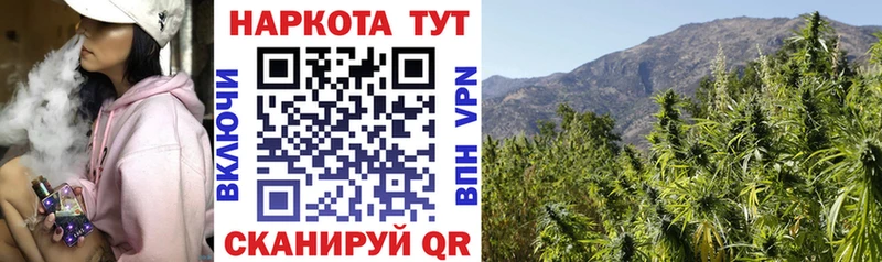 Купить Гашиш  Alpha-PVP  Псилоцибиновые грибы  Марихуана  Меф  Ростов