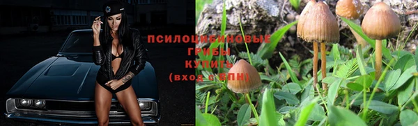 гашик Бронницы