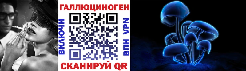 Купить  Ростов  Галлюциногенные грибы MAGIC MUSHROOMS 
